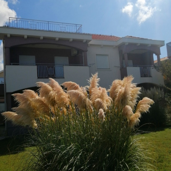 Zatonka 1, Apartmani Zatonka blizu mora, Zaton - Dalmacija Zaton