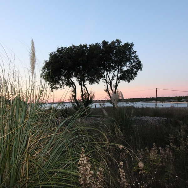 Zatonka 3, Apartments Zatonka in der Nähe des Meeres, Zaton, Dalmatien, Kroatien Zaton