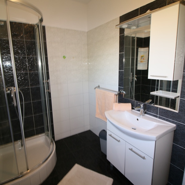 Bathroom / WC, Zatonka 3, Apartments Zatonka near the sea, Zaton, Dalmatia, Croatia Zaton