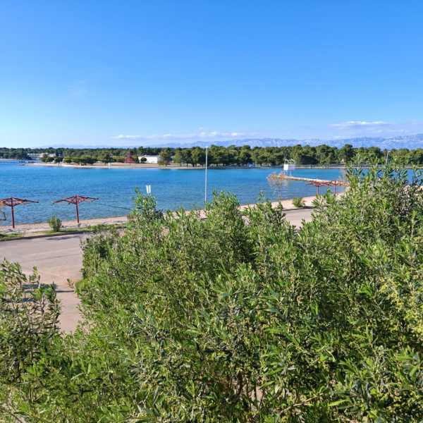 Das Wohnzimmer, Zatonka 1, Apartments Zatonka in der Nähe des Meeres, Zaton, Dalmatien, Kroatien Zaton