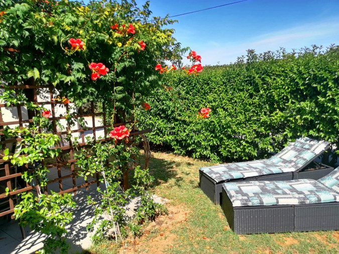 Apartman A4, Apartmani Zatonka blizu mora, Zaton - Dalmacija Zaton