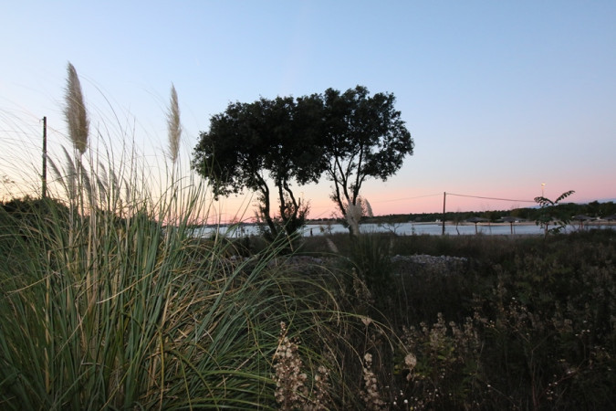Exterior, Apartments Zatonka near the sea, Zaton, Dalmatia, Croatia Zaton