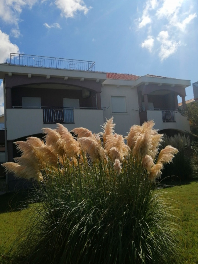 Aussenbereich, Apartments Zatonka in der Nähe des Meeres, Zaton, Dalmatien, Kroatien Zaton