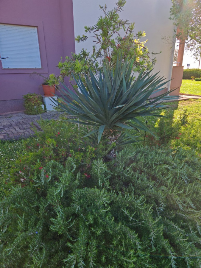 Apartment B7, Apartments Zatonka in der Nähe des Meeres, Zaton, Dalmatien, Kroatien Zaton