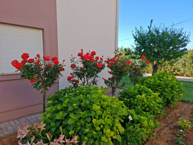 Apartment B7, Apartments Zatonka in der Nähe des Meeres, Zaton, Dalmatien, Kroatien Zaton