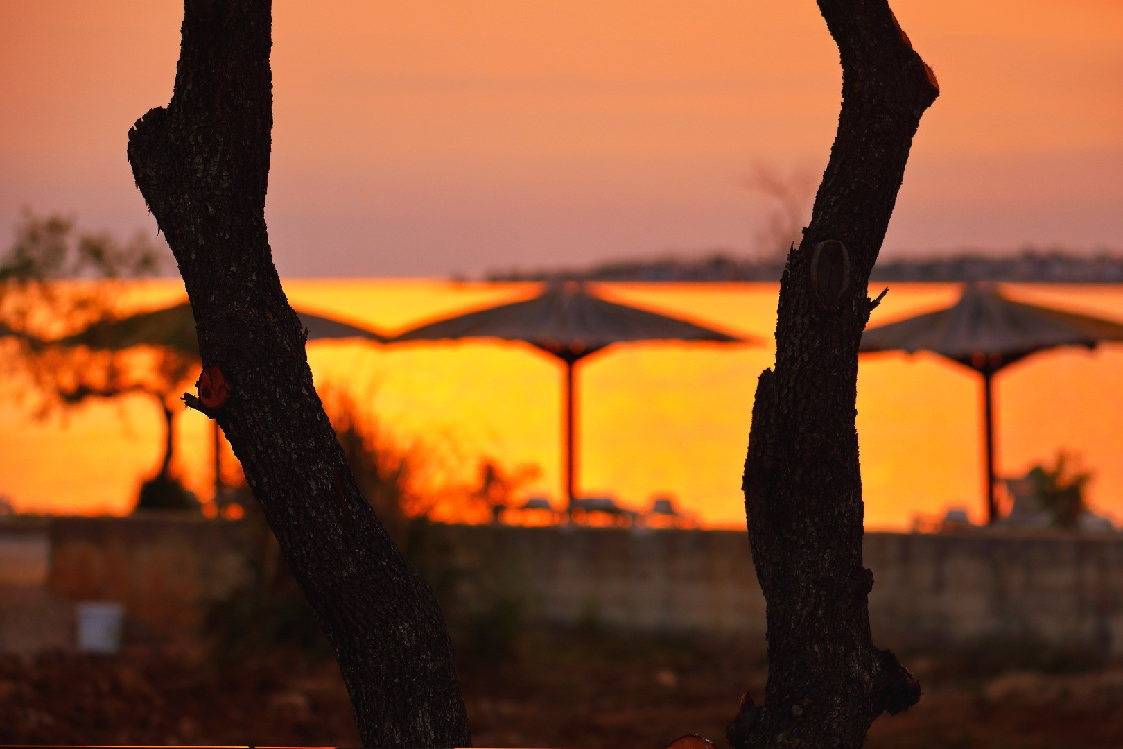 Apartments Zatonka - Wählen Sie aus 12 Apartments in unseren 3 Objekten in der Nähe des Meeres., Apartments Zatonka in der Nähe des Meeres, Zaton, Dalmatien, Kroatien Zaton