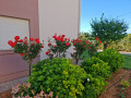 Apartment B5, Apartments Zatonka in der Nähe des Meeres, Zaton, Dalmatien, Kroatien Zaton
